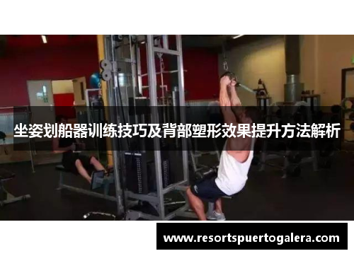 坐姿划船器训练技巧及背部塑形效果提升方法解析