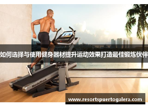 如何选择与使用健身器材提升运动效果打造最佳锻炼伙伴