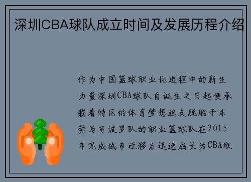深圳CBA球队成立时间及发展历程介绍